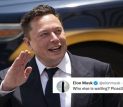 Picassol NFT Auction and Elon Musk