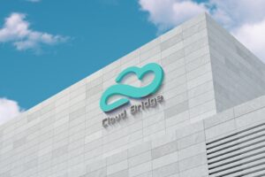 Cloud Bridge Capital