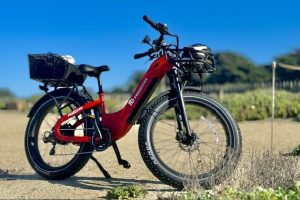 Freedare Fat Tire Electric Bikes