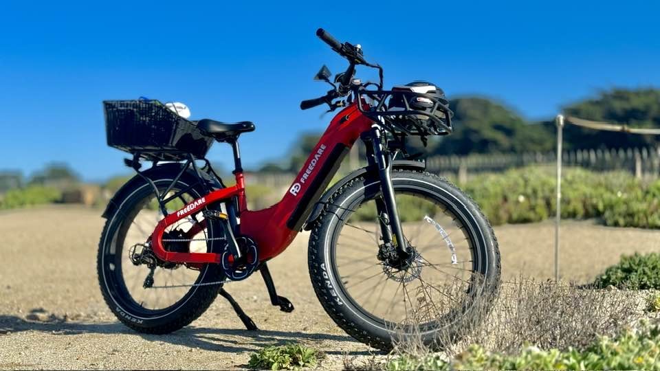 Freedare Fat Tire Electric Bikes