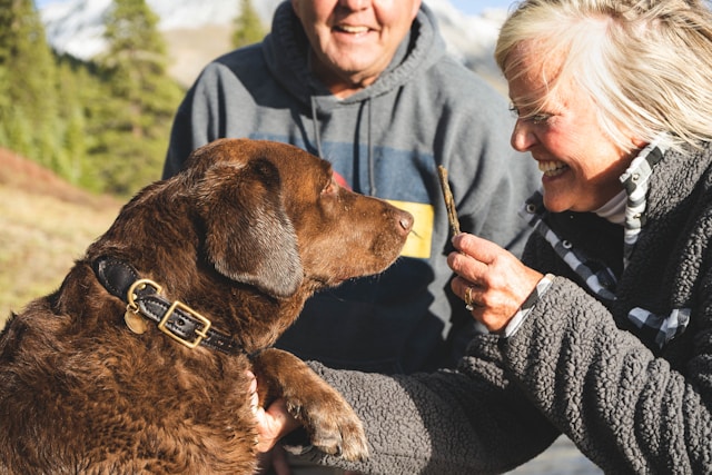 Common Myths About Revolution Plus Without a Vet Prescription Debunked
