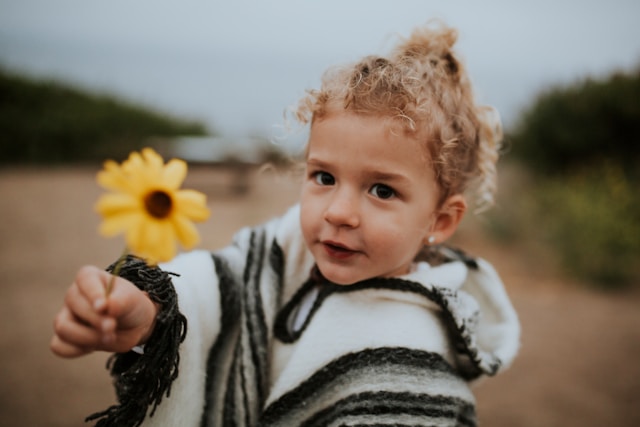 Association of Related Churches we plant